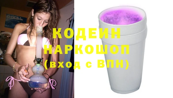 дживик Бронницы